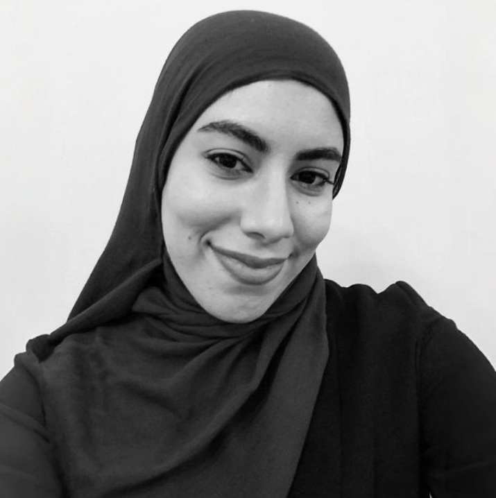 Heidi Ahmed Elshaarawy