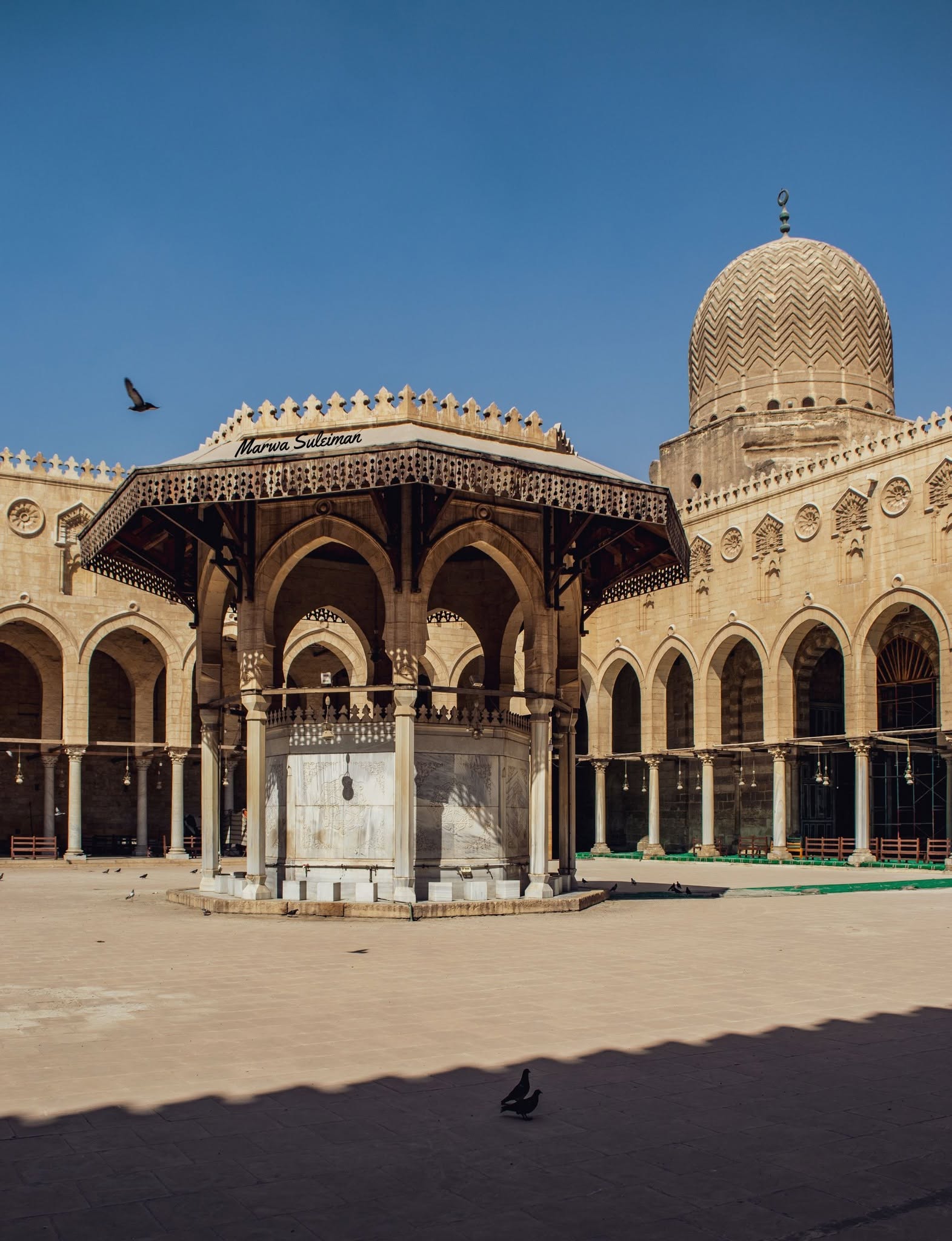 Marwa Suleiman