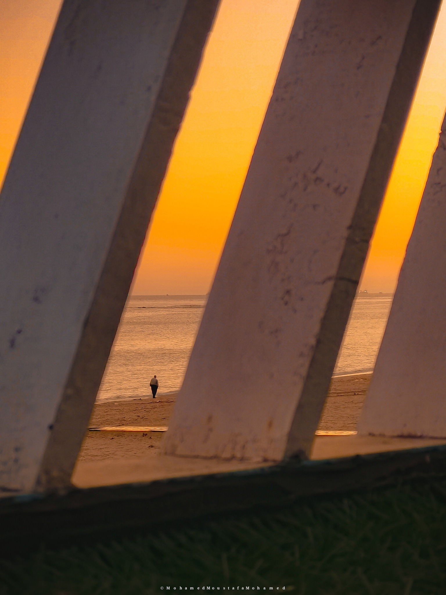 Mohamed Mostafa Mohamed