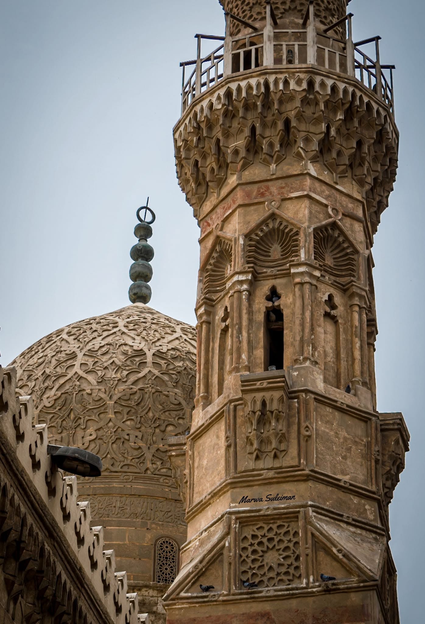 Marwa Suleiman