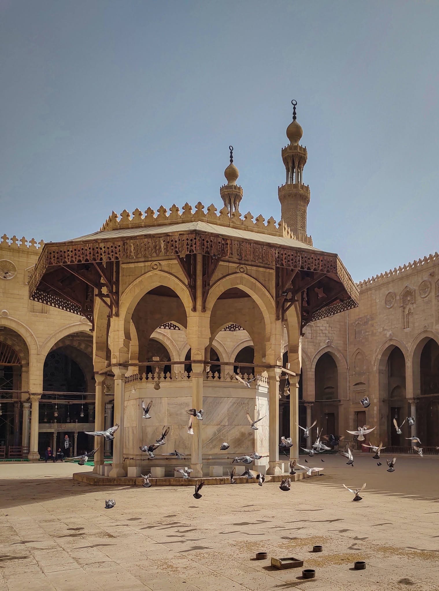 Ahmed Saber