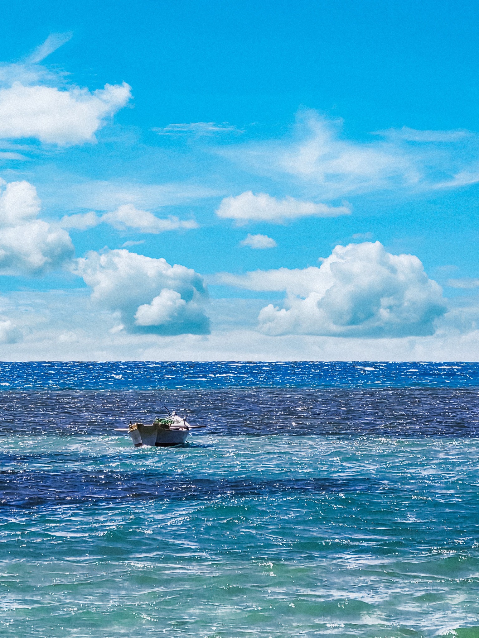 Galal Abdel-naser El-Shaer