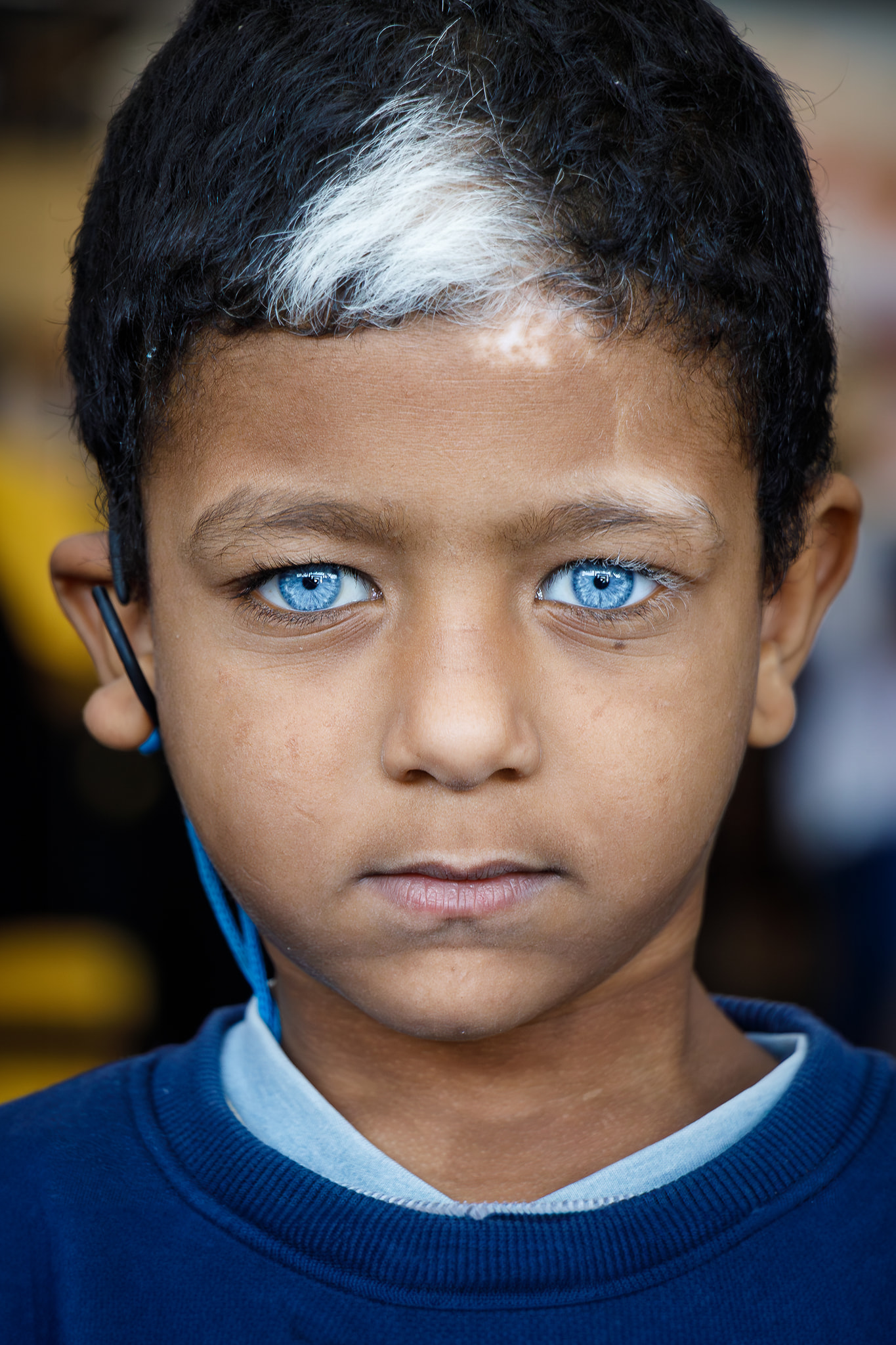 Mohamed Gamal Hussien