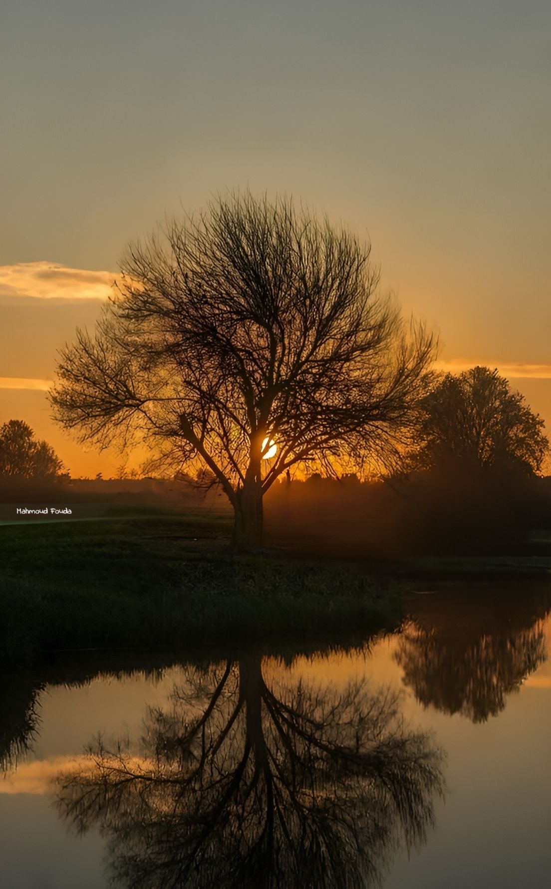 Mahmoud Hassan Fouda