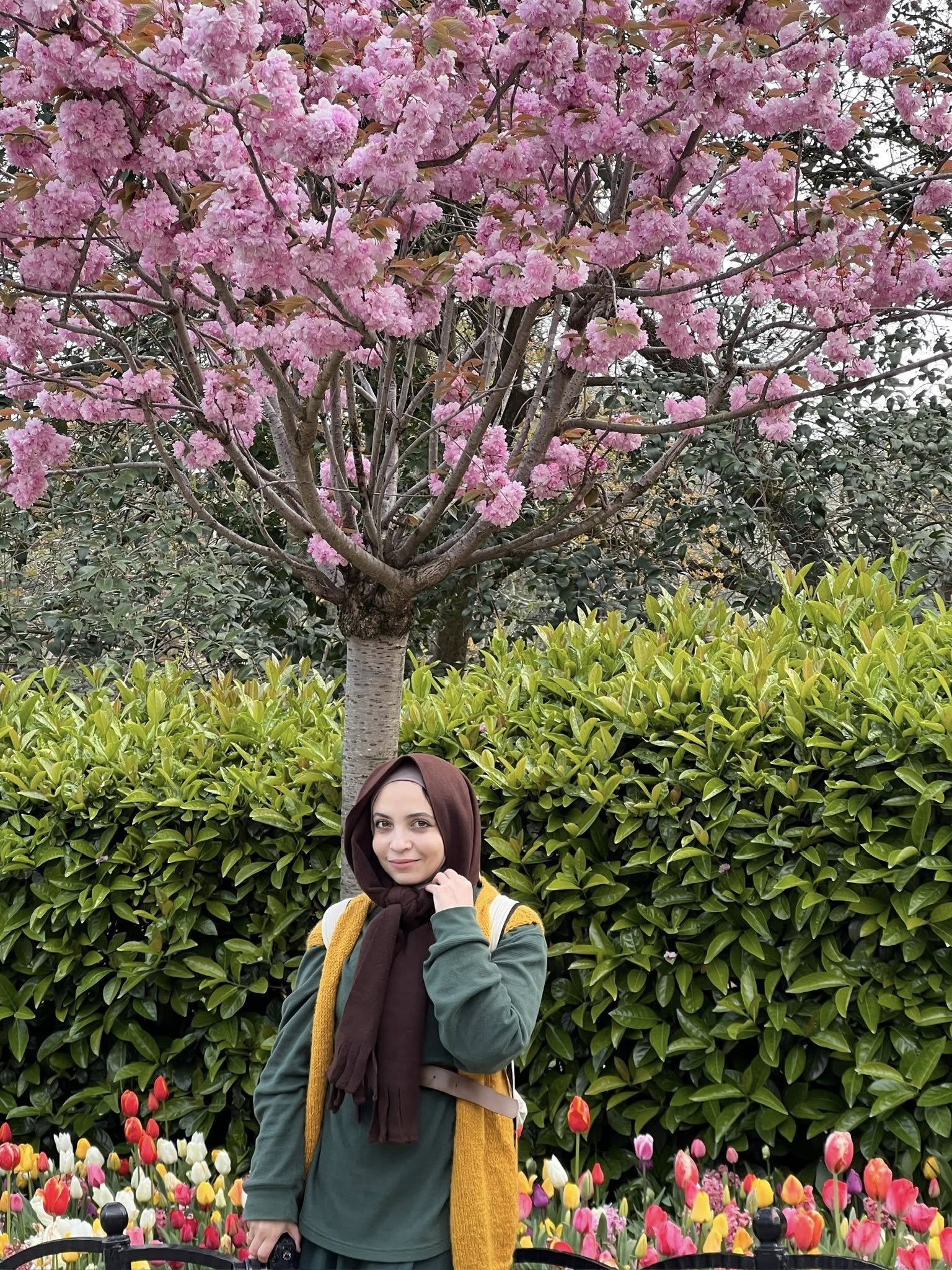 وقفة تحت شجرة الحكاية