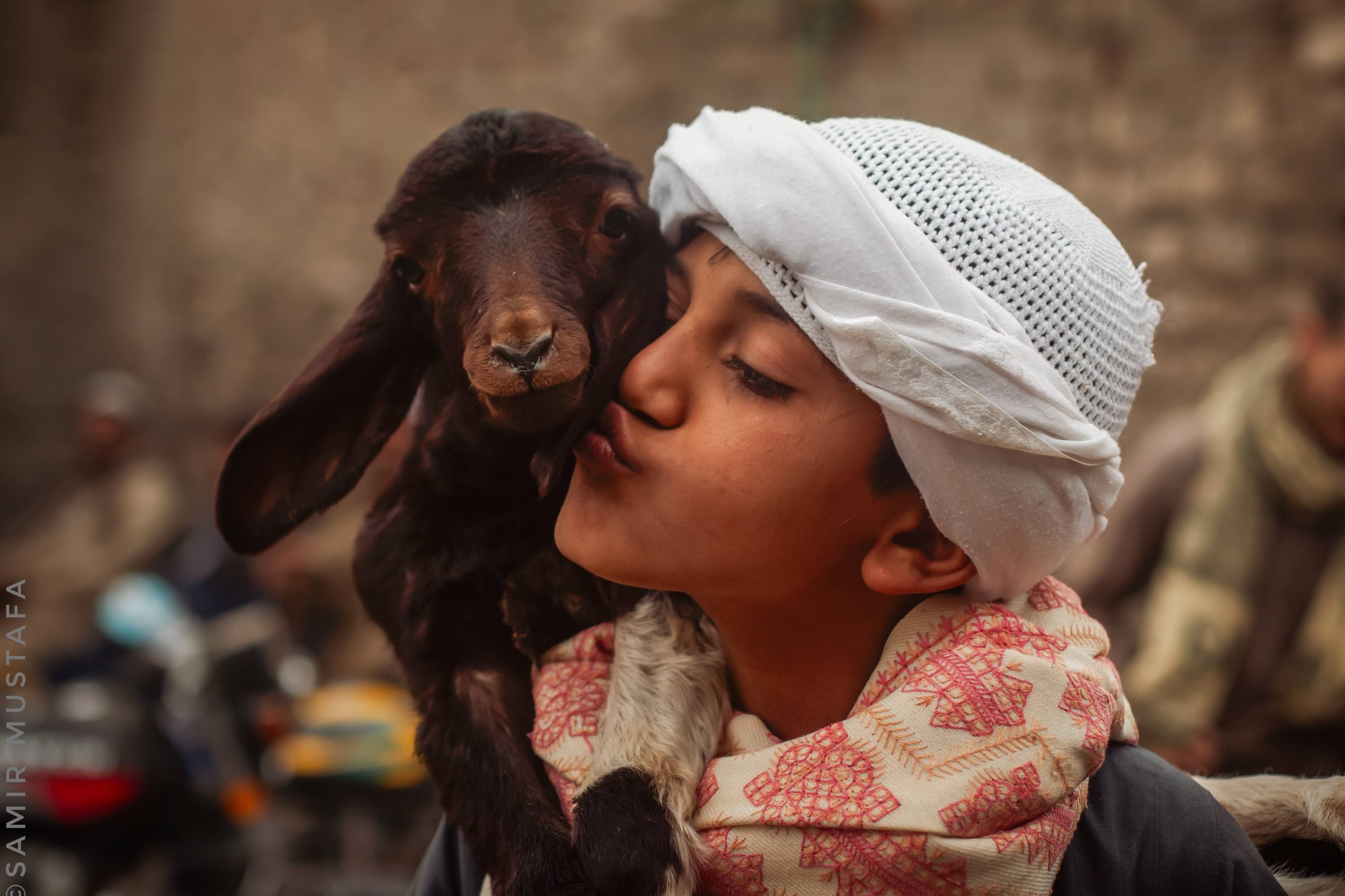 براءة متبادلة