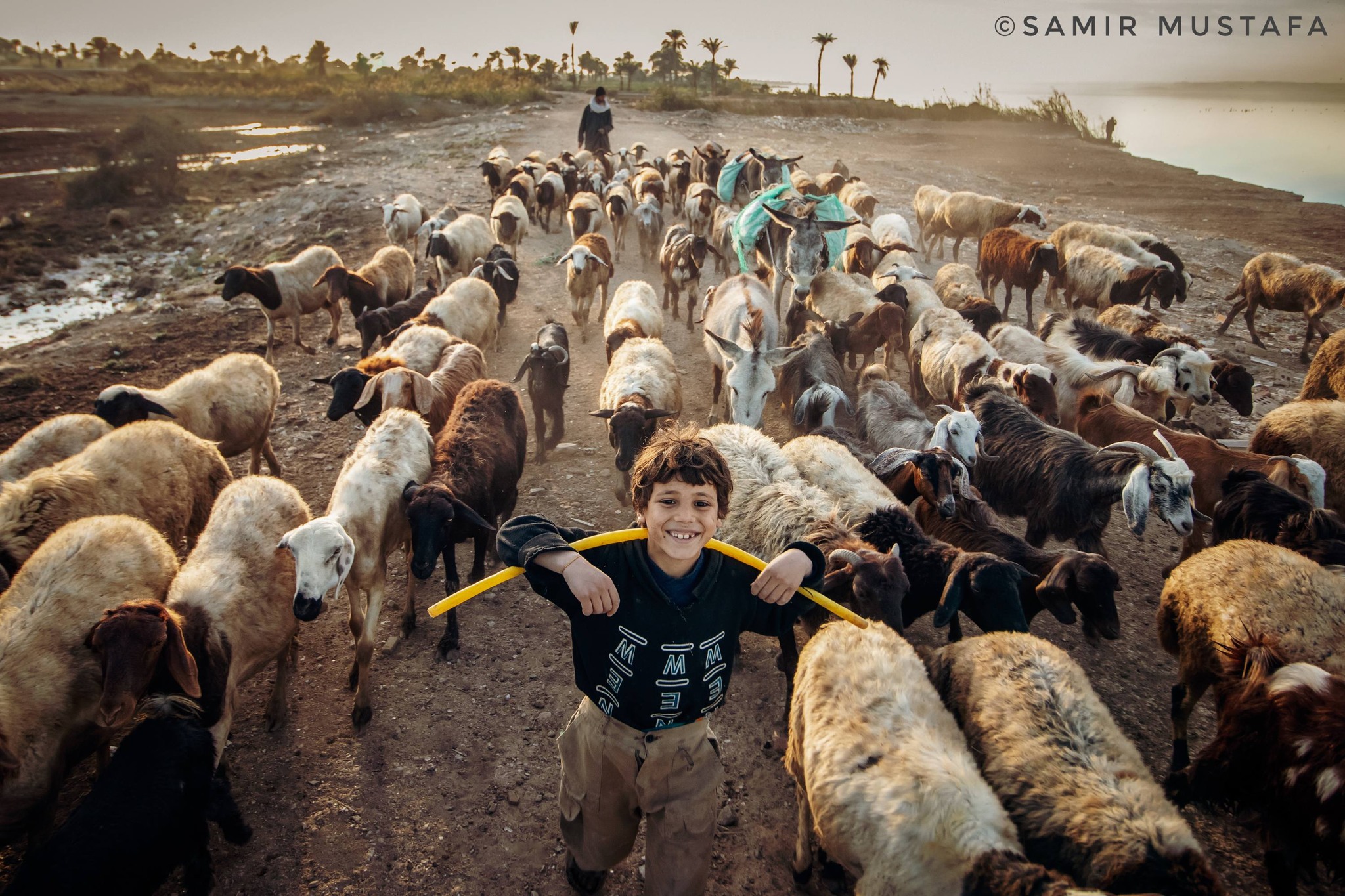 بداية الحكاية