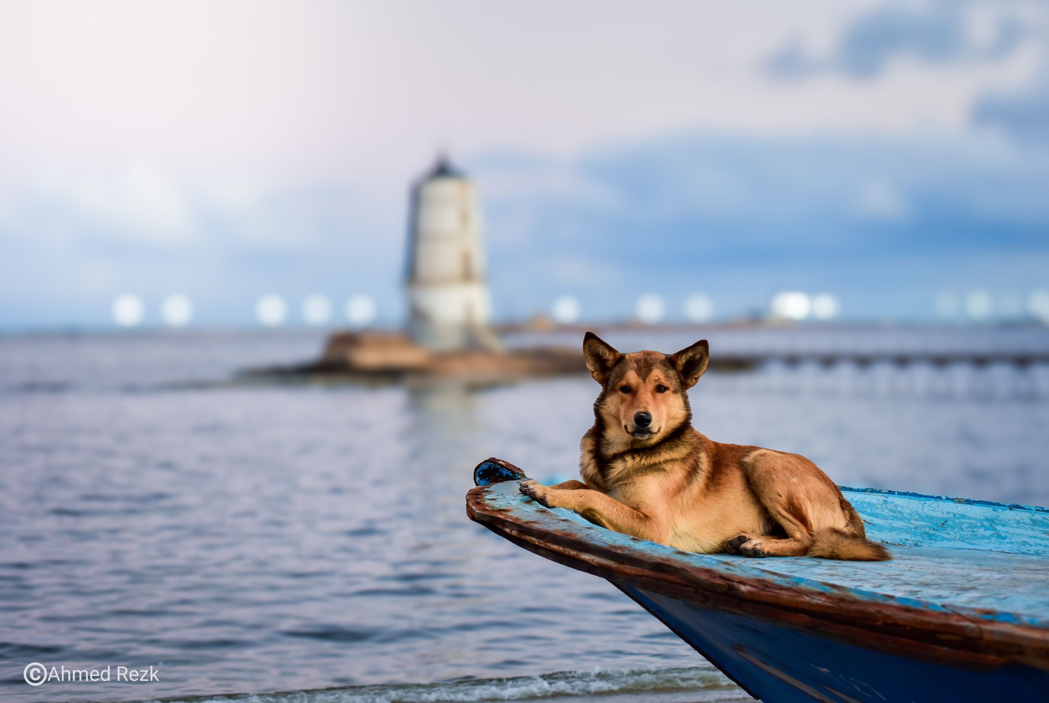 منشور شارع بعدسة من مجتمعنا