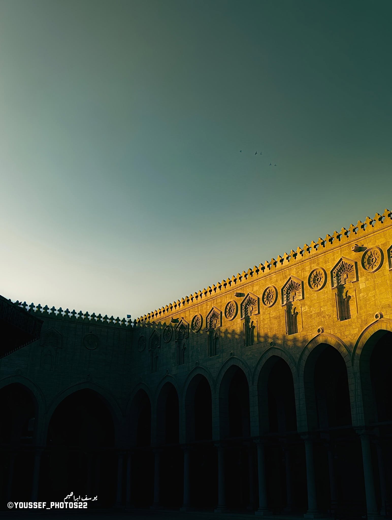 يوسف ابراهيم