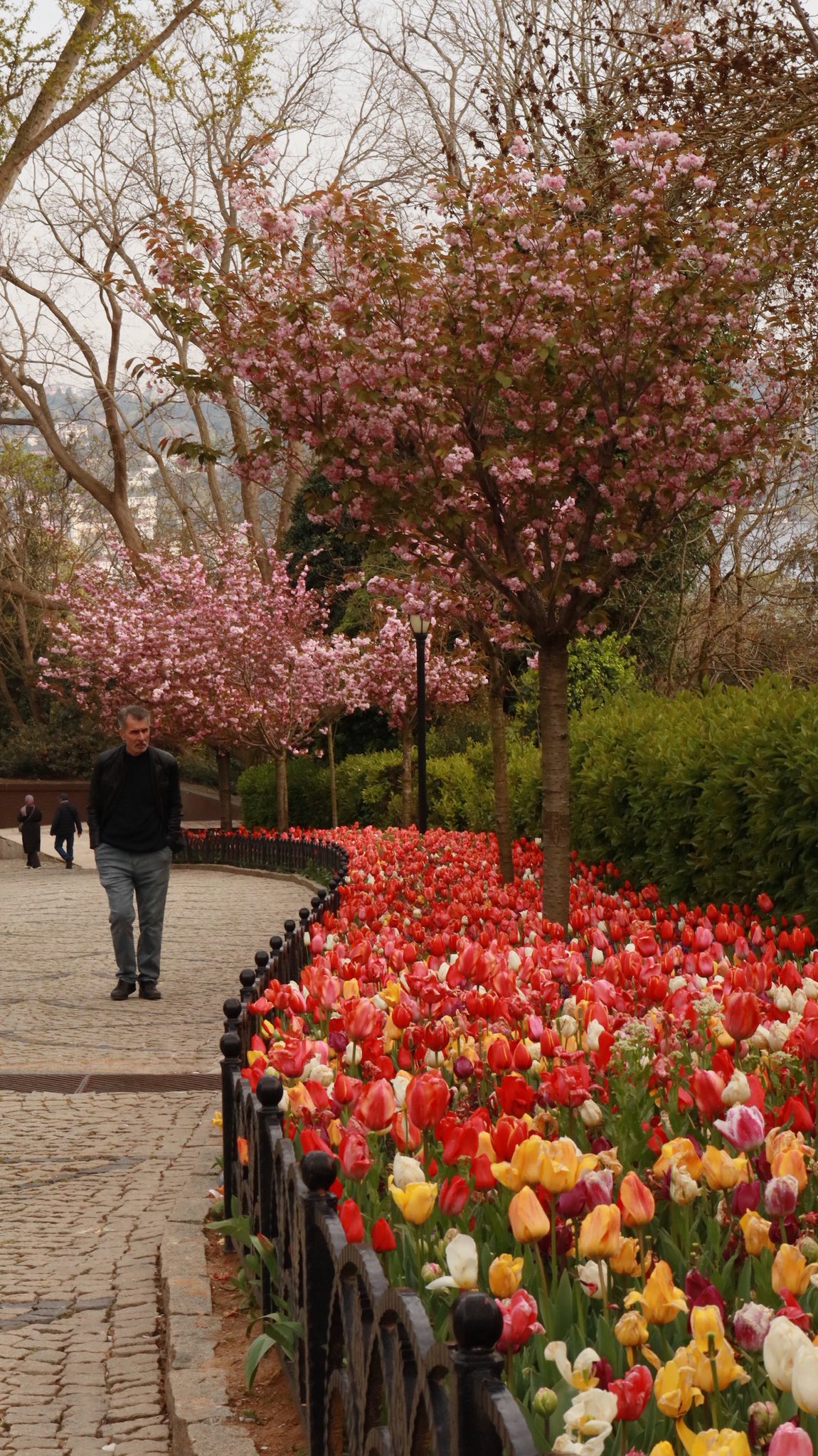 طريق يمشي عليه اللون