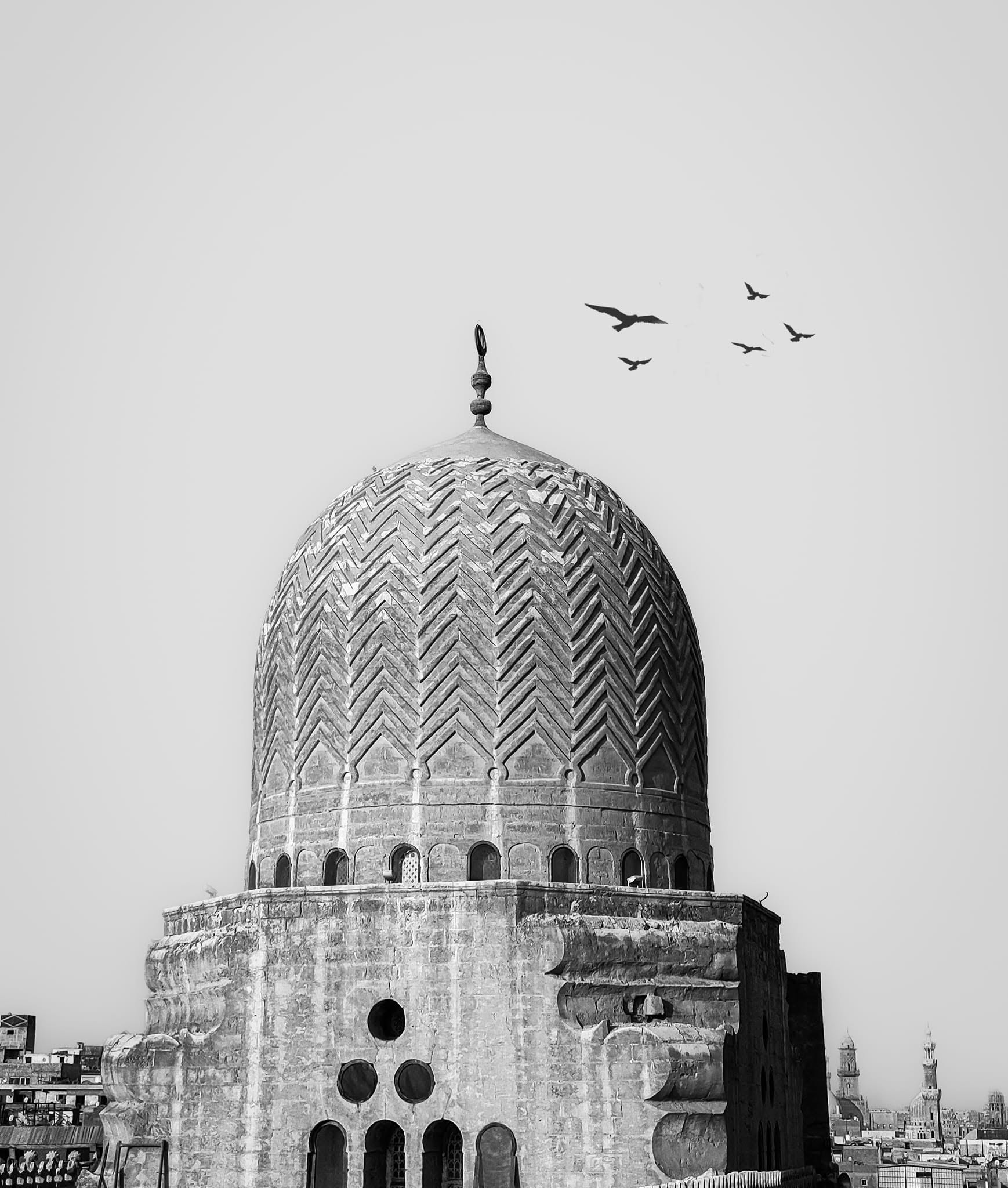 Alsyed Elsaadani