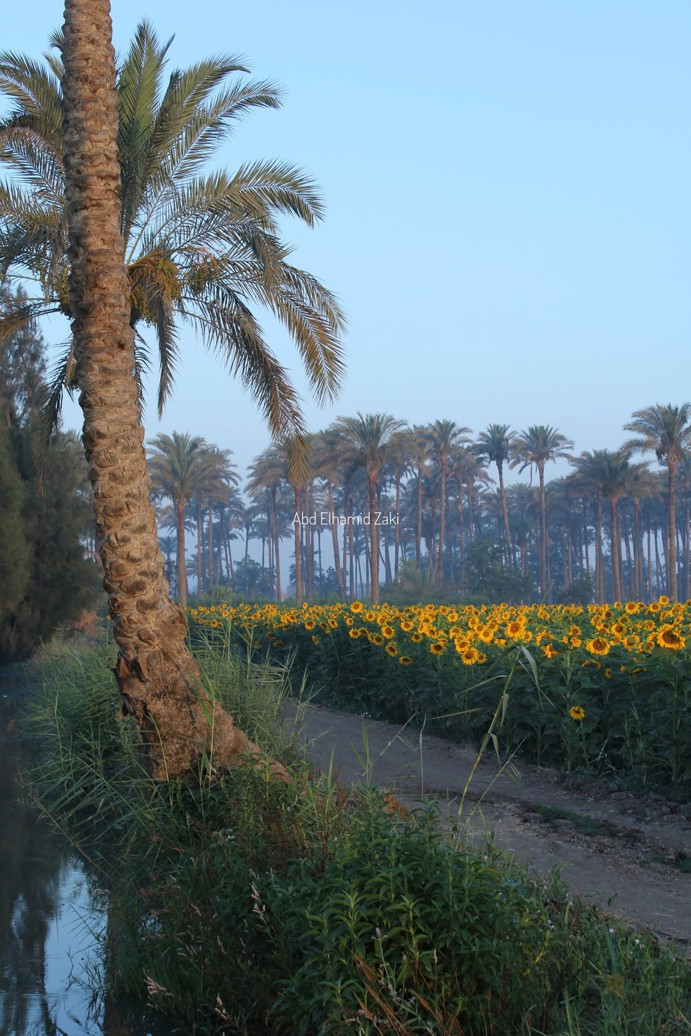 المسابقات
