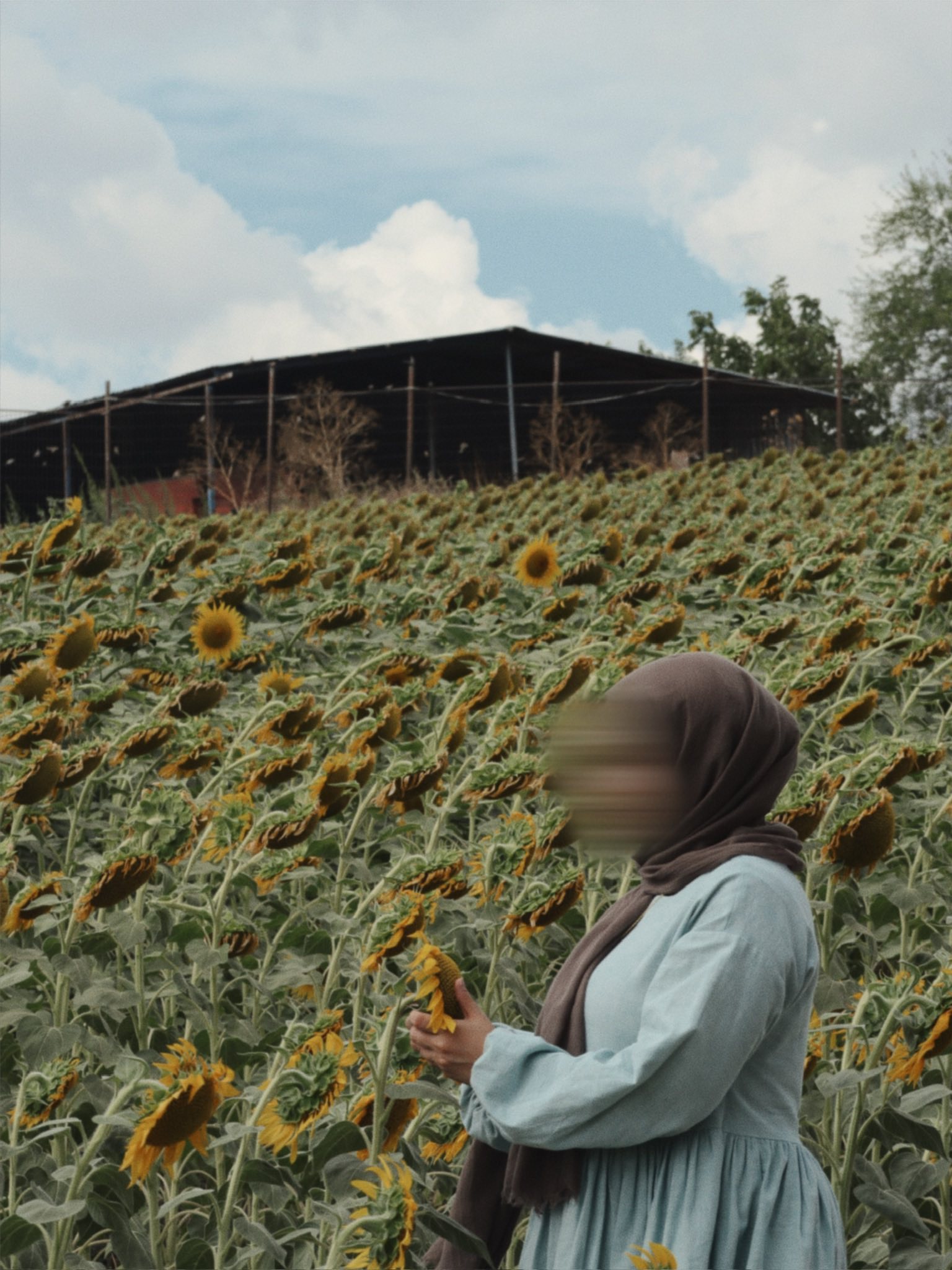 حين يتغير مزاج اللون