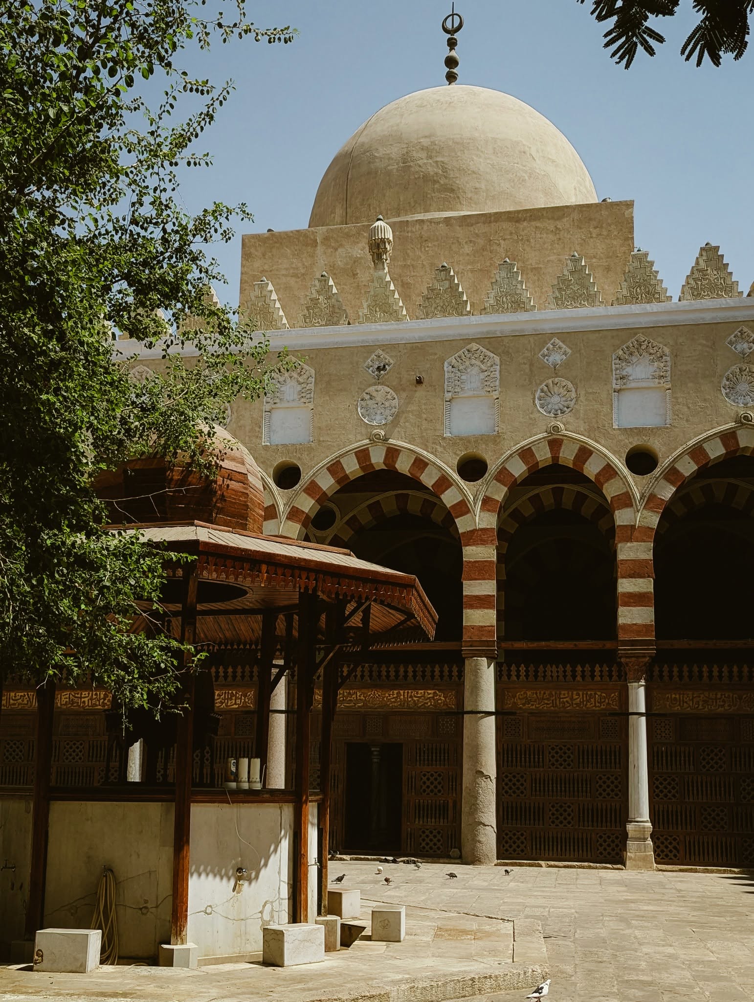 Islam Mostafa Abdelfatah
