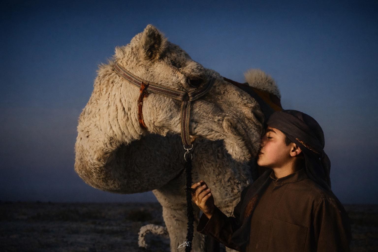 وضاء العمري