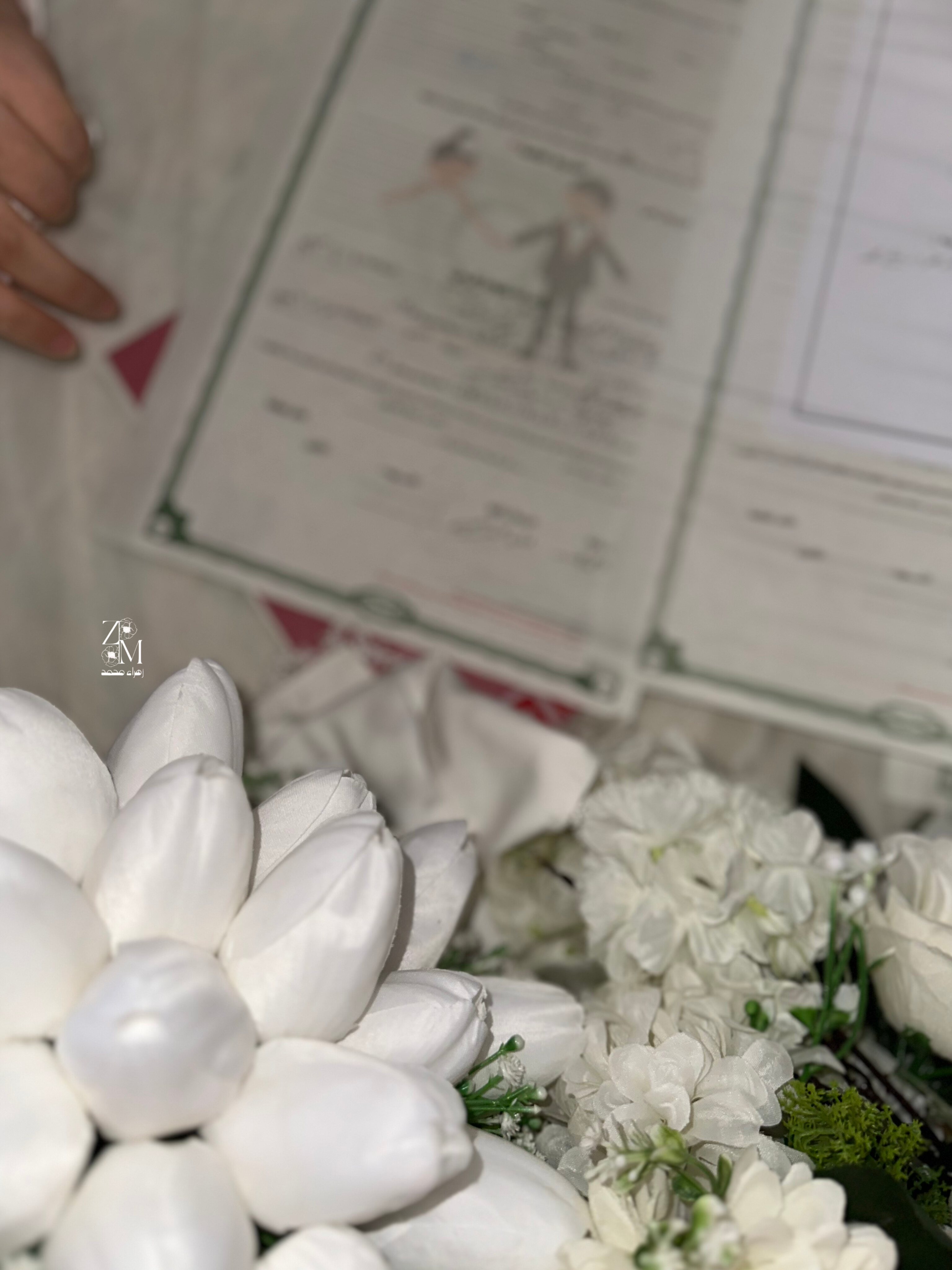 أعمال Zahraa Mohamed