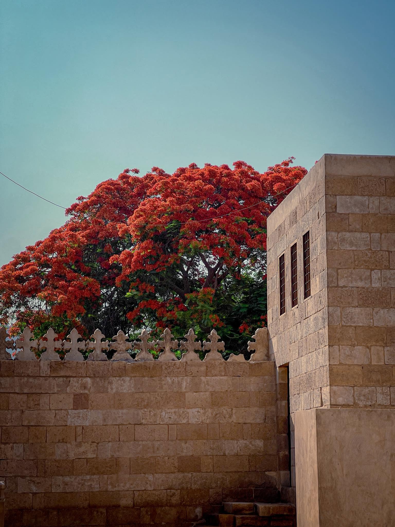 المسابقات
