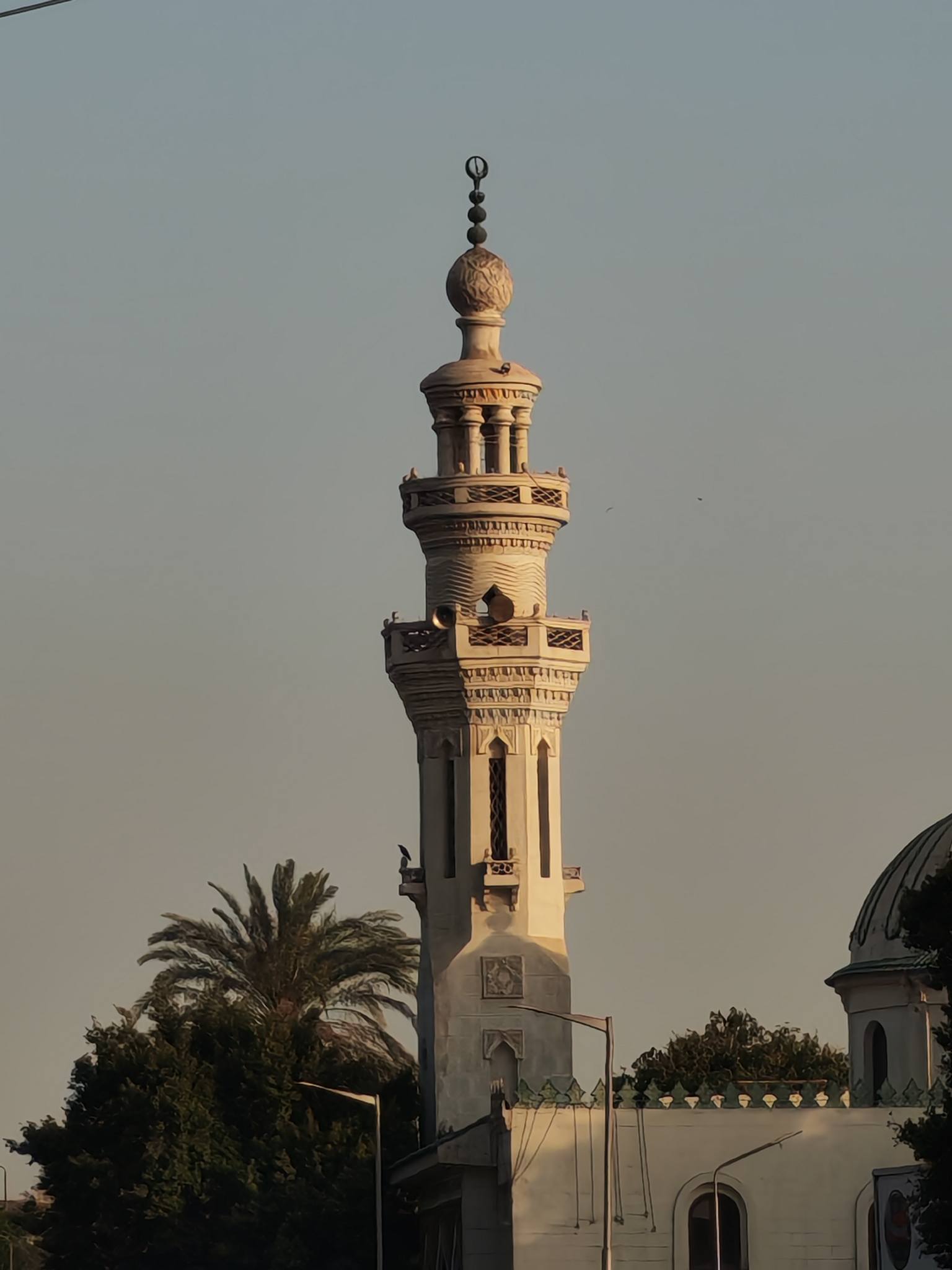 Hala Ezzat