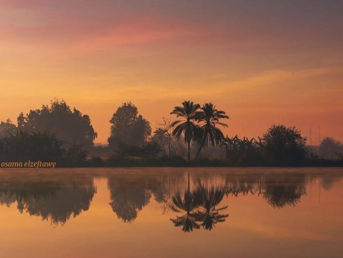 Osama El-Zeftawy