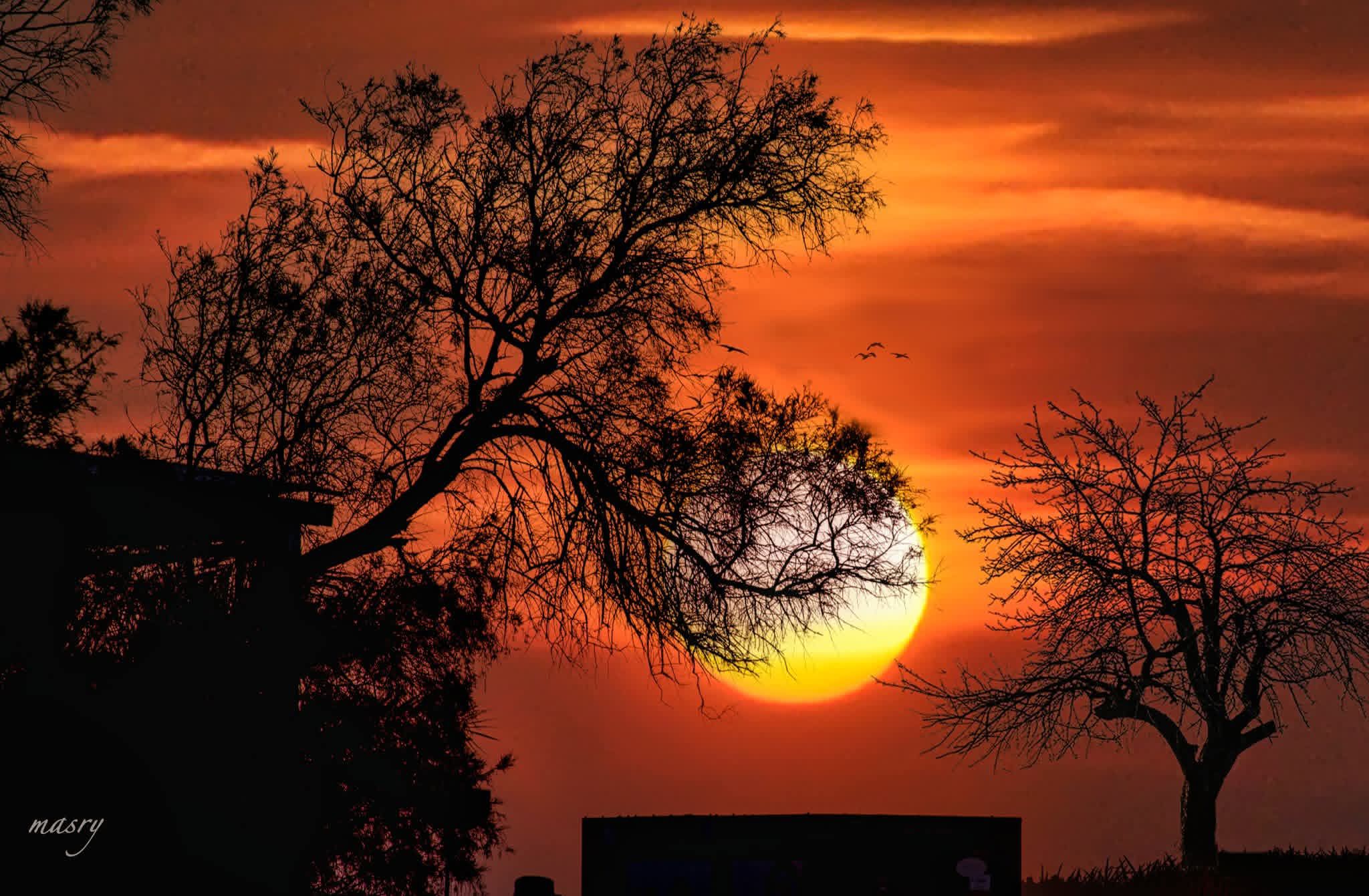 Mohamed Fathy Elmasry