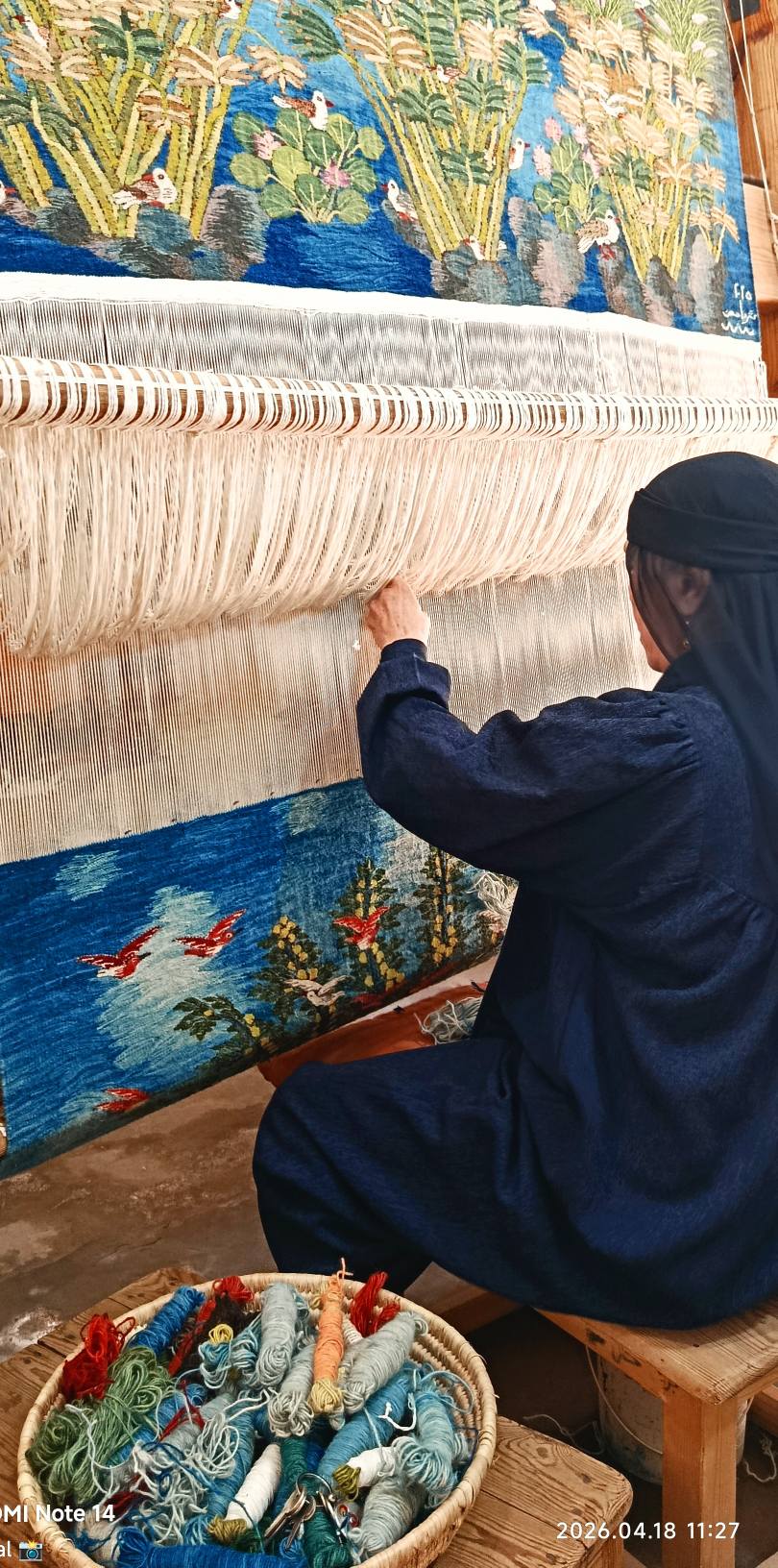 جمال عبد الحميد على