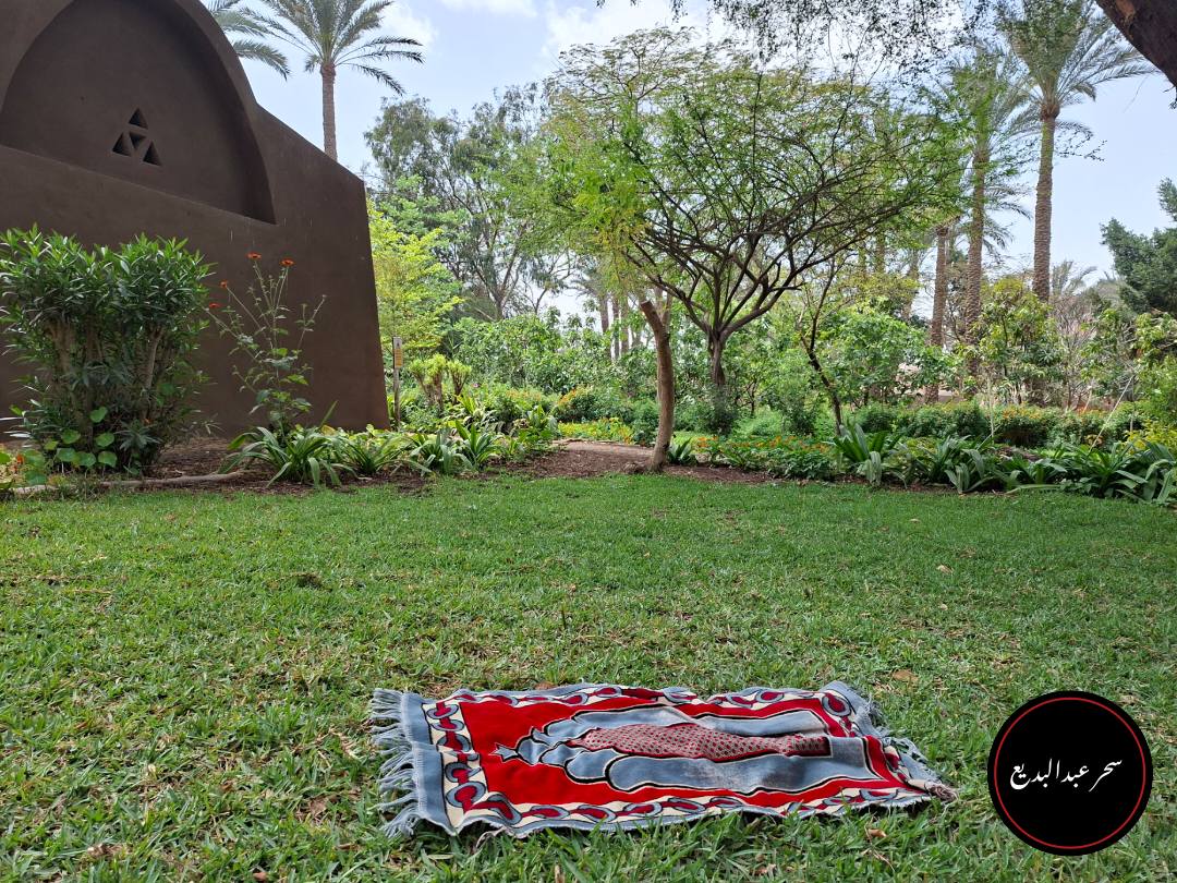 سحر عبدالبديع علي