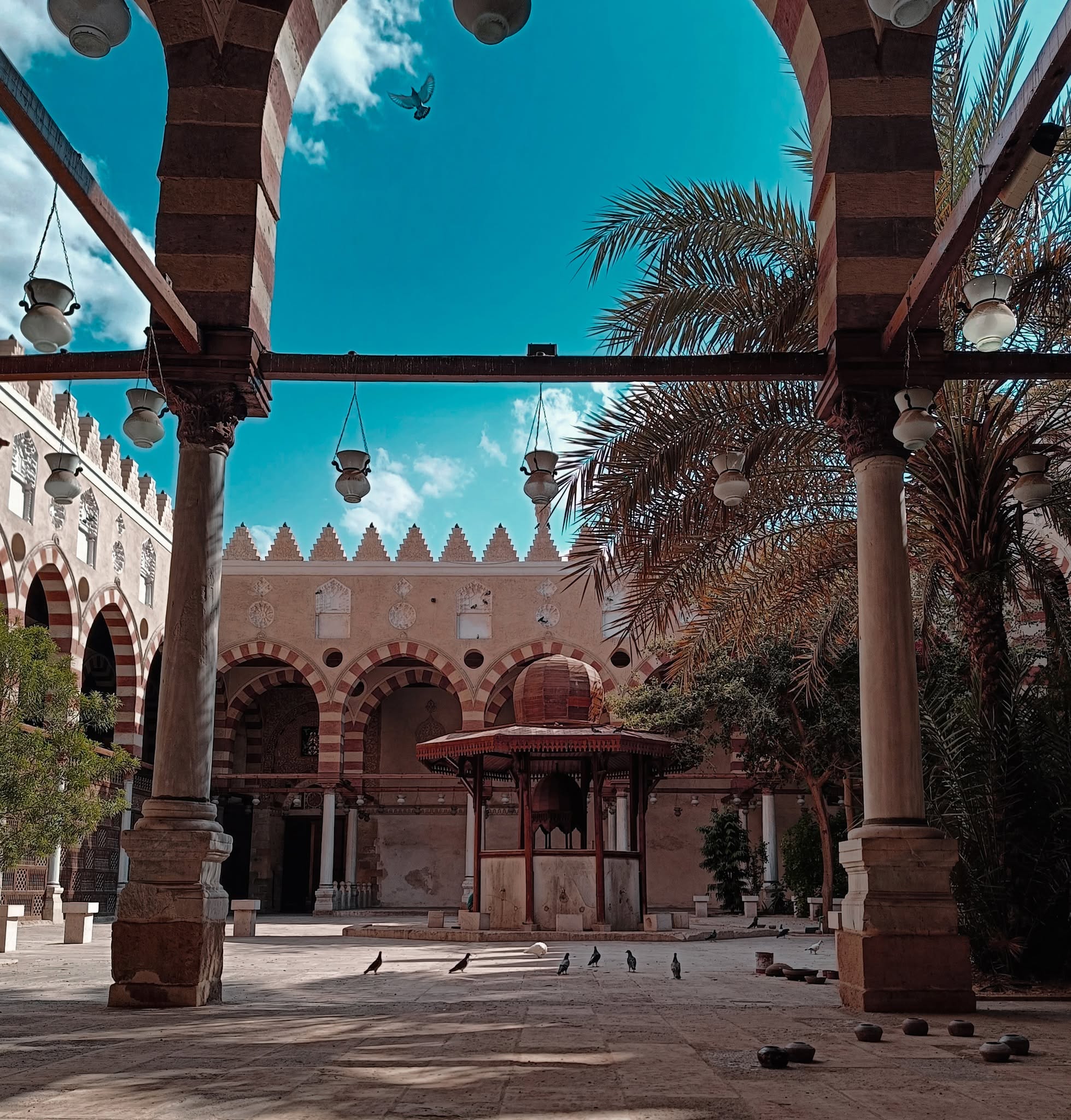 Esmaeel Elkholy