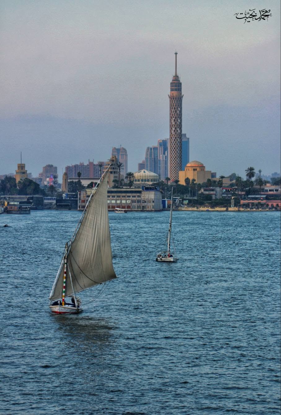 Mohammed M Bekhit