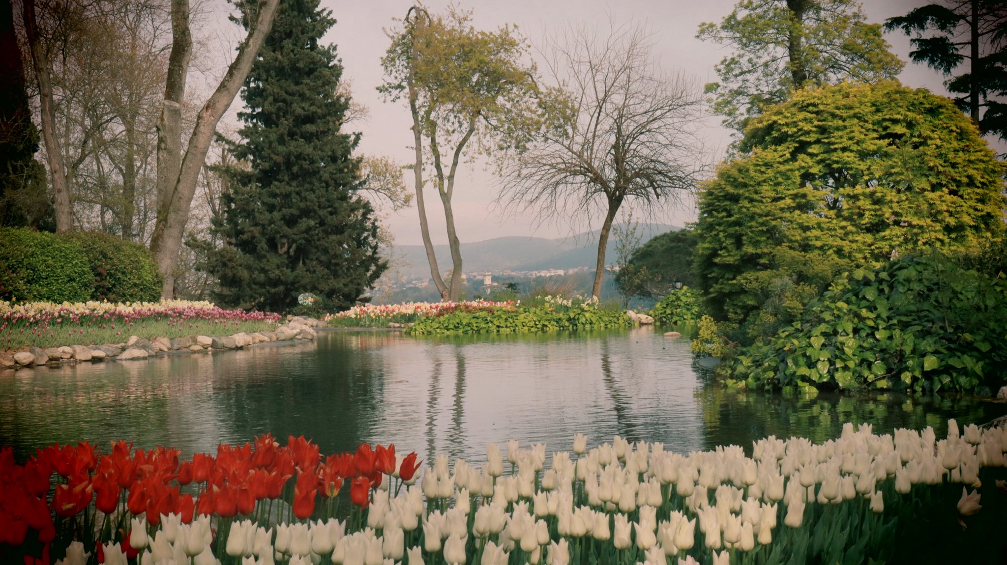 من هنا يبدأ الربيع