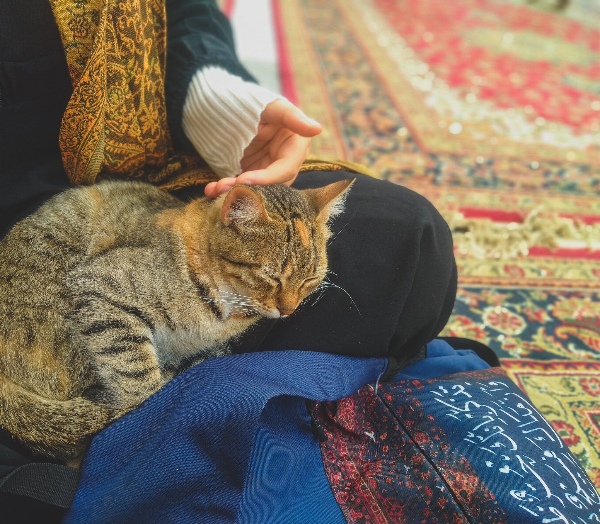 أَسمَاء مُحَمَّد