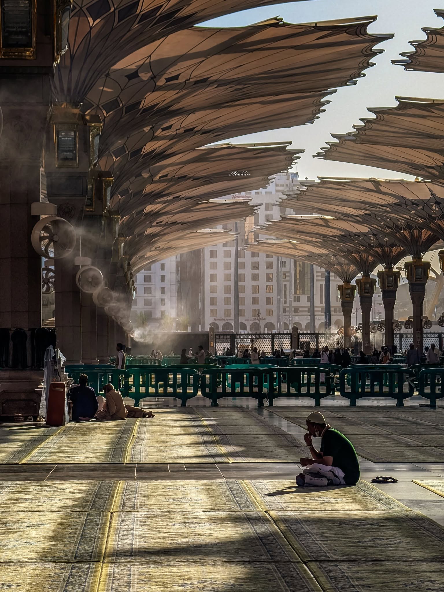 معرض الصور