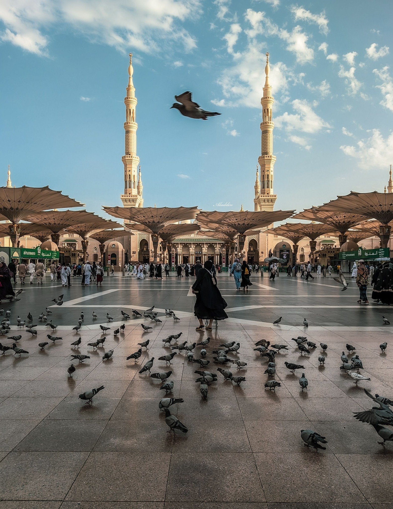 Alaa El Din
