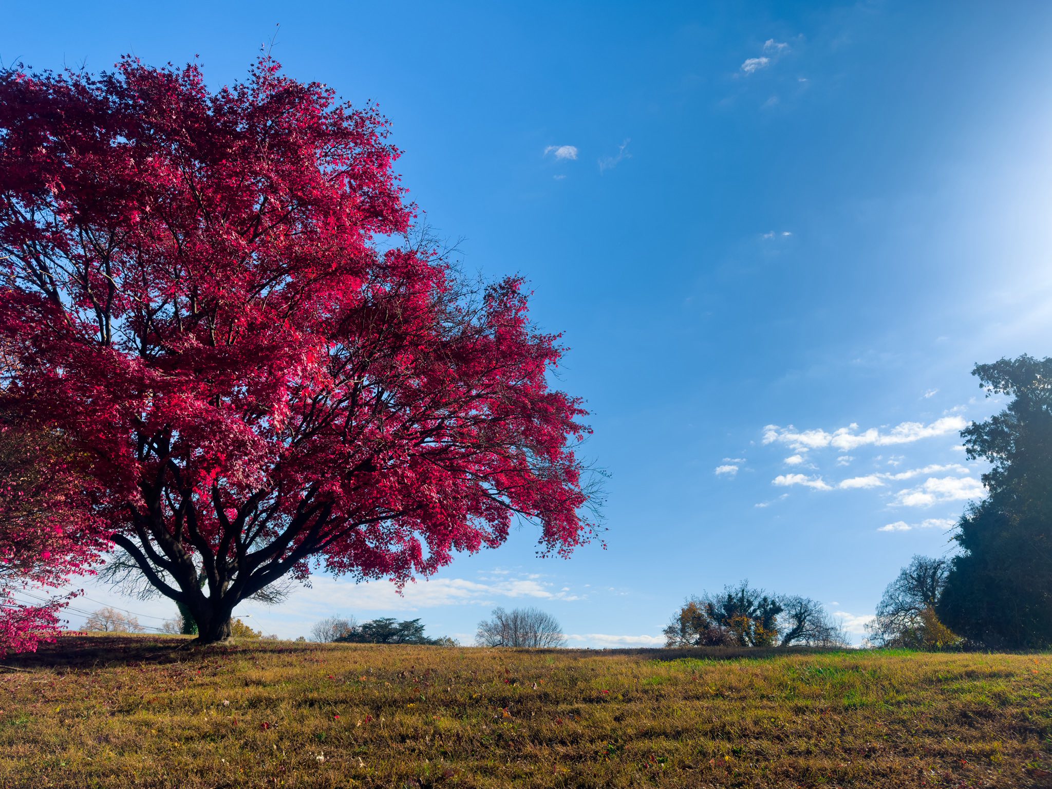 منشور landscape بعدسة من مجتمعنا