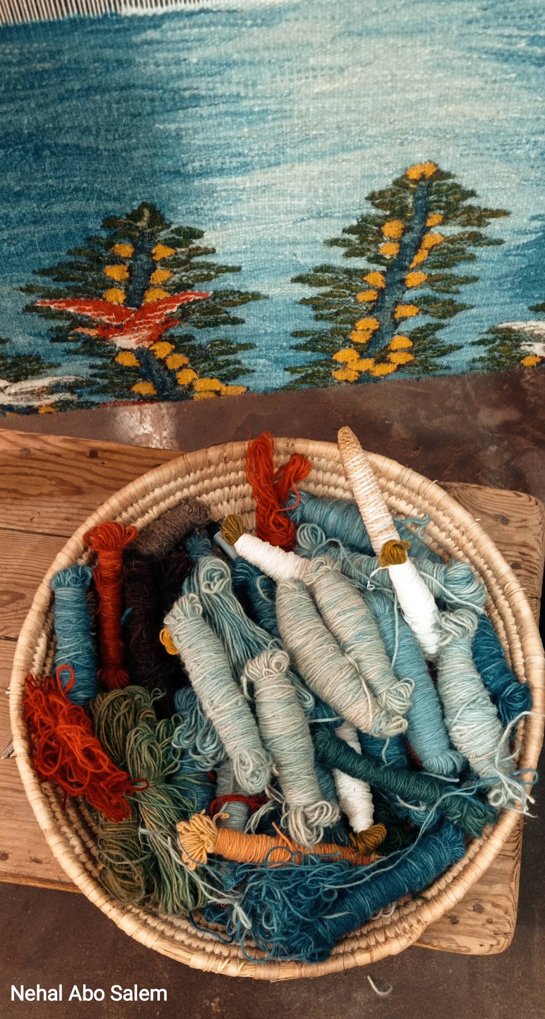 نهال محمد أبو سالم