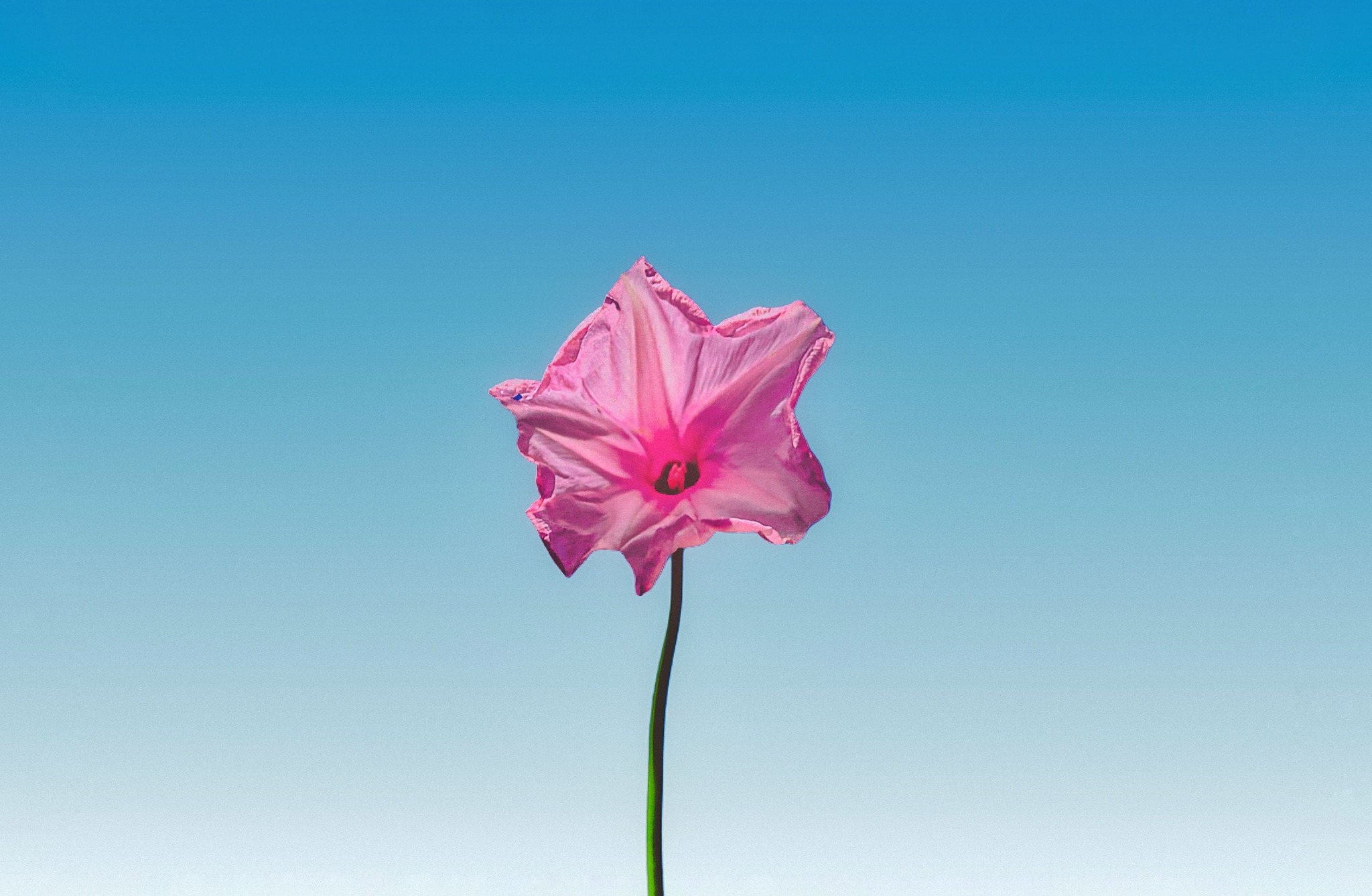 سلايدر القسم