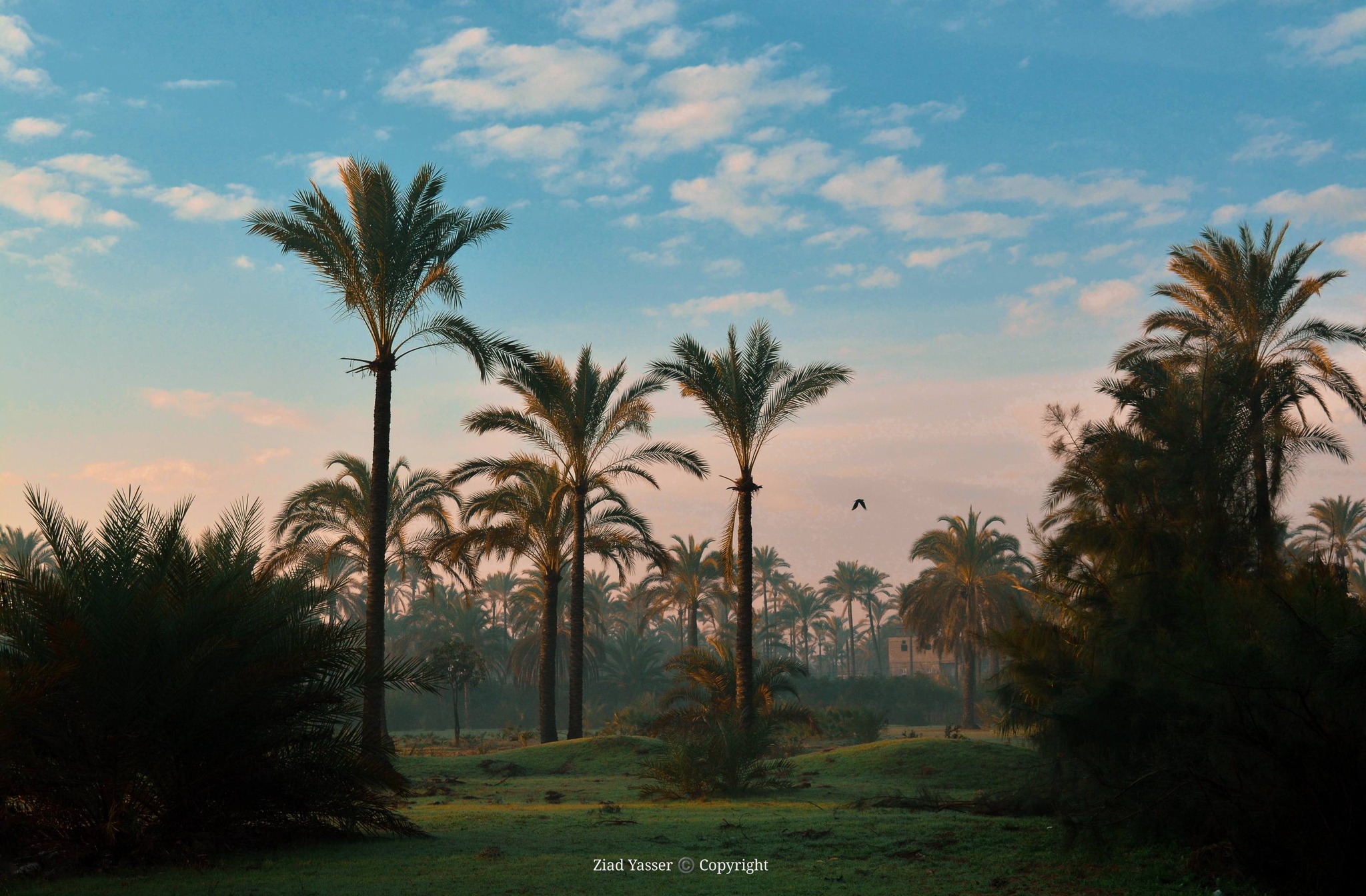 سلايدر القسم